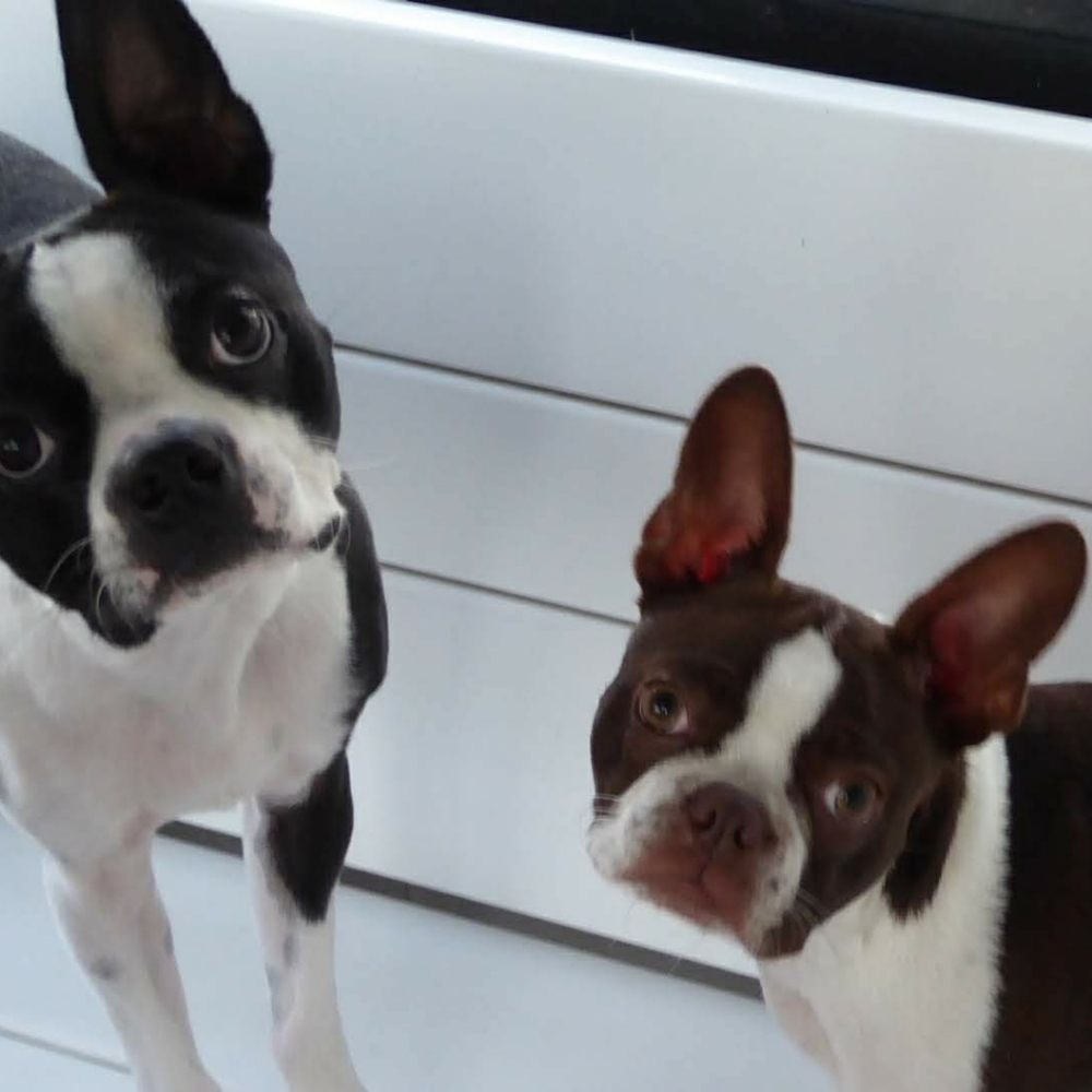 🌠HP🌠Meet your Posher, Libby.